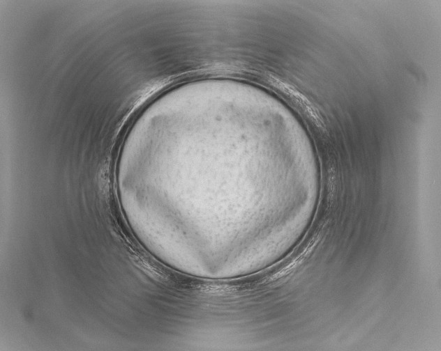 X0000115651170200912011516