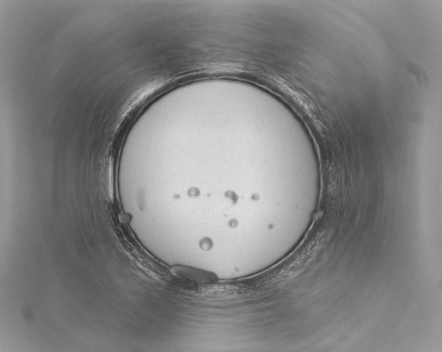 X0000115651171200912011516