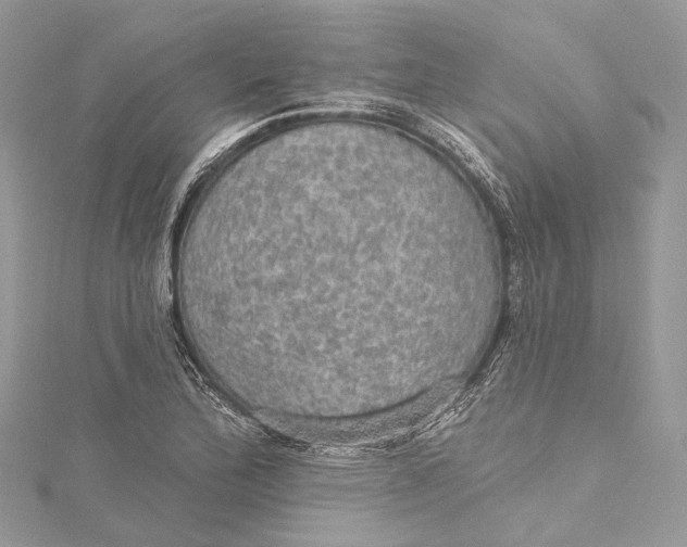 X0000115651172200912011516