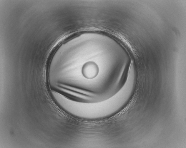 X0000115651173200912011516