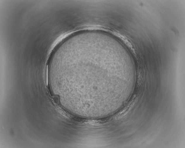 X0000115651175200912011516