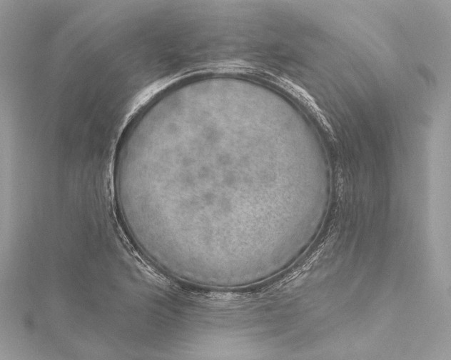 X0000115651176200912011516