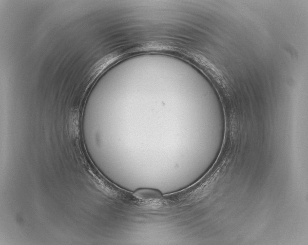 X0000115651177200912011516