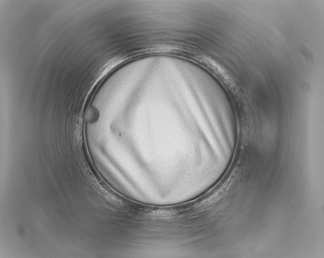 X0000115651178200912011516