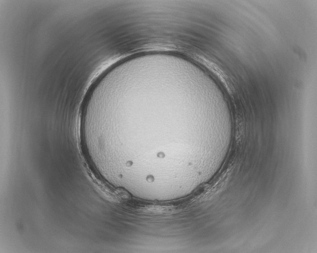 X0000115651179200912011516