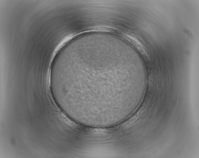 X0000115651180200912011516