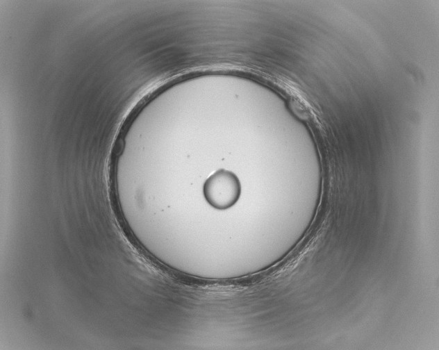 X0000115651181200912011516