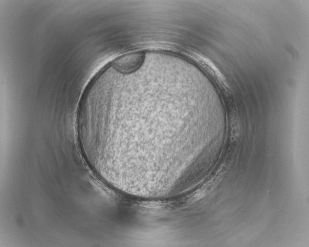 X0000115651182200912011516