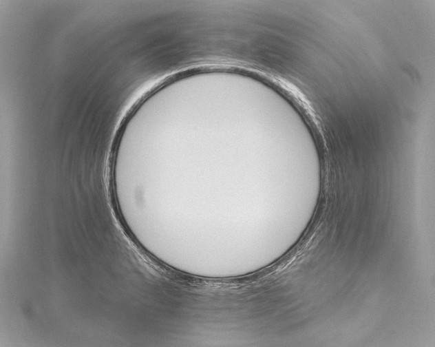 X0000115651183200912011516