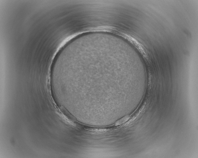 X0000115651184200912011516