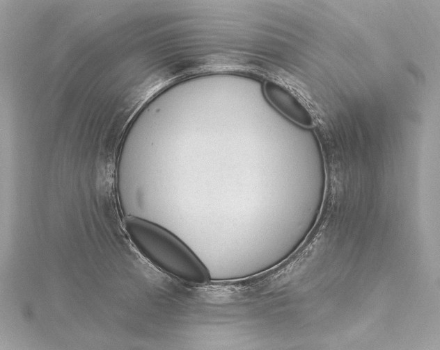 X0000115651185200912011516