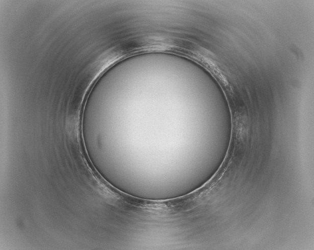 X0000115651186200912011516