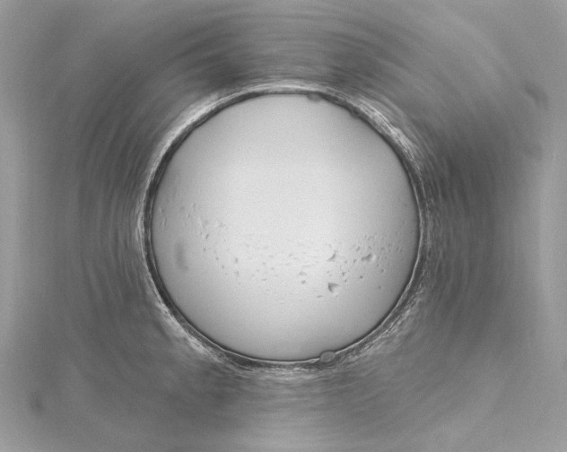 X0000115651189200912011516