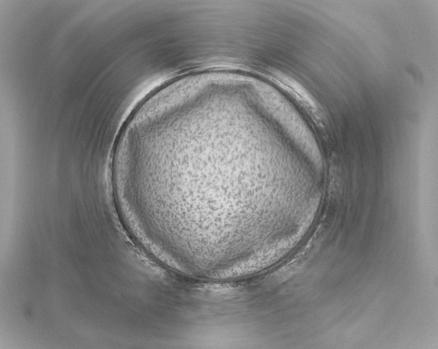 X0000115651190200912011516