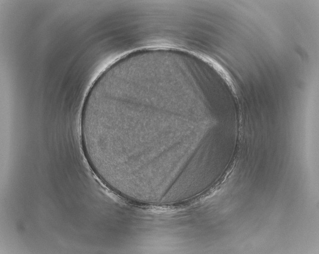 X0000115651191200912011516