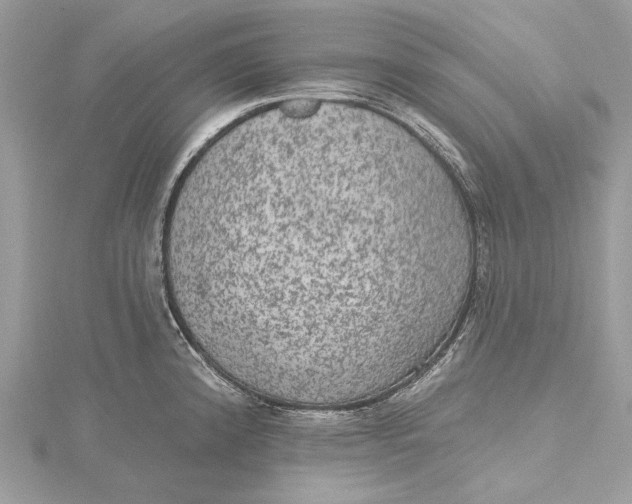 X0000115651192200912011516