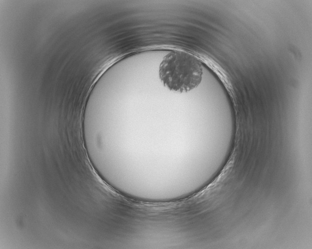 X0000115651193200912011516