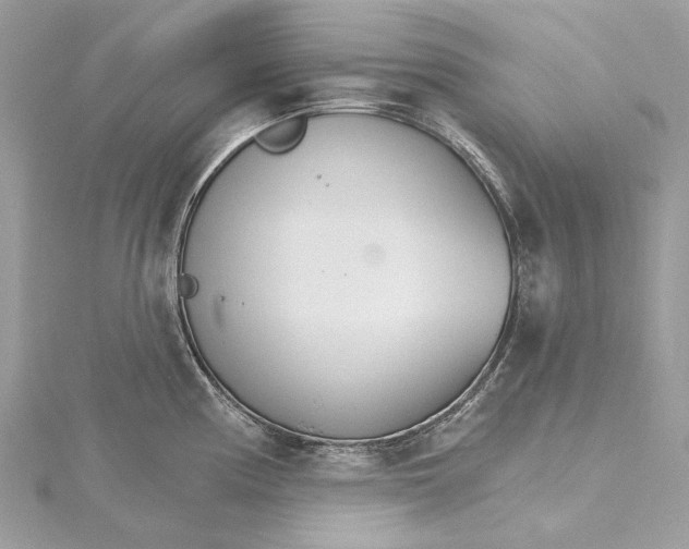 X0000115651194200912011516