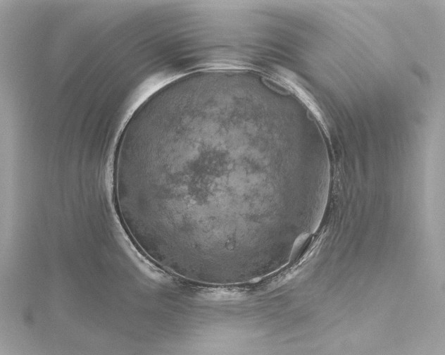 X0000115651195200912011516