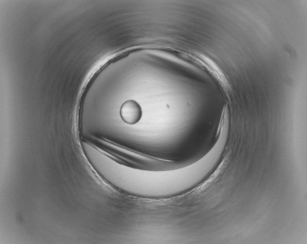 X0000115651196200912011516