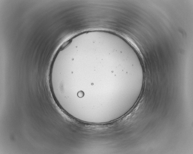 X0000115651197200912011516