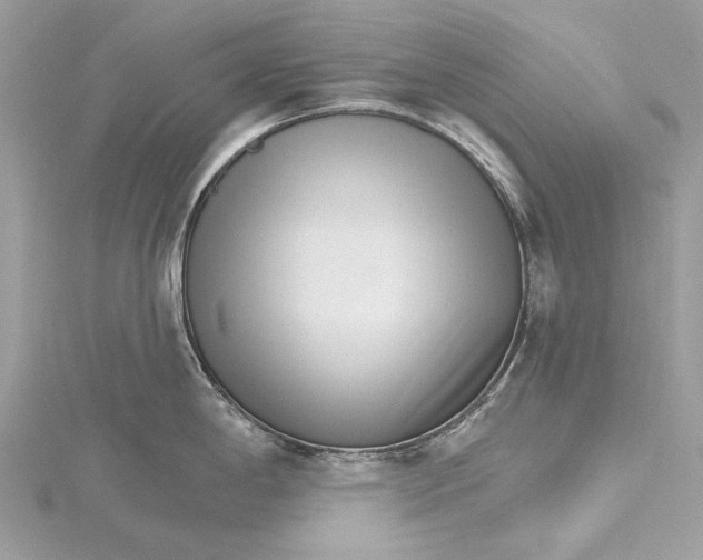 X0000115651198200912011516