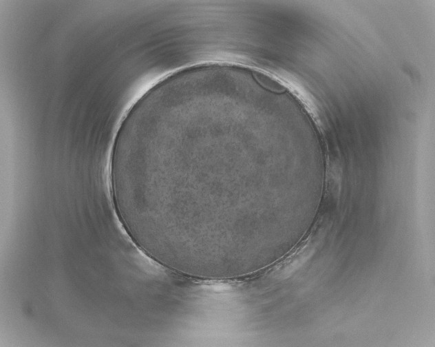 X0000115651199200912011516