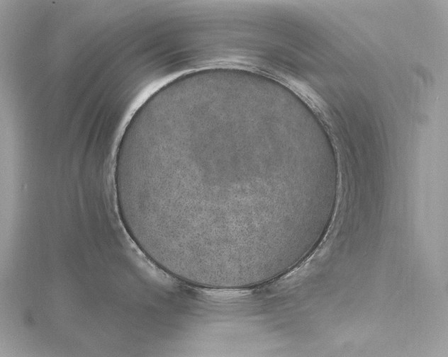 X0000115651200200912011516