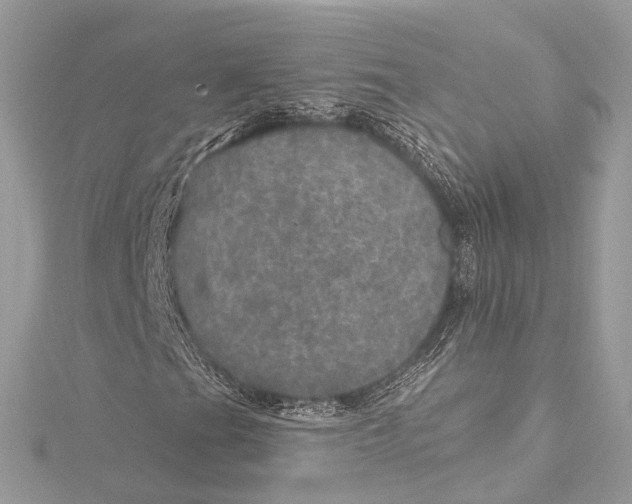 X0000115651201200912011515