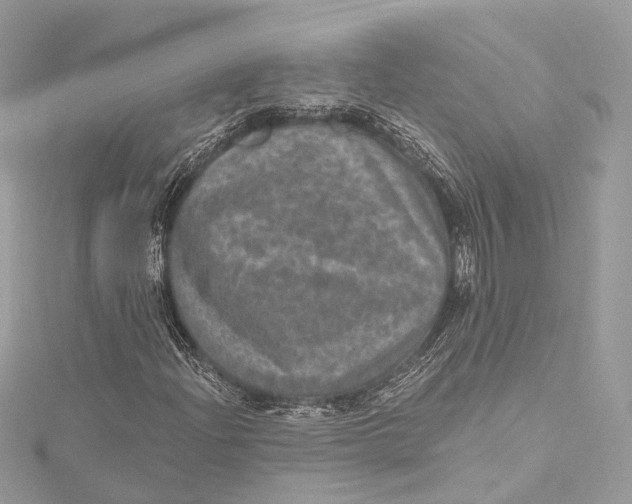 X0000115651204200912011515