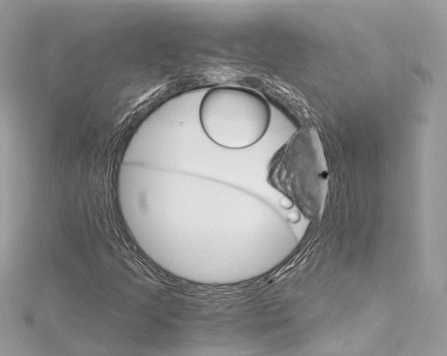 X0000115651205200912011515