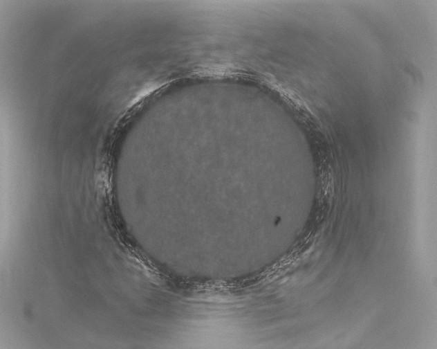 X0000115651206200912011515