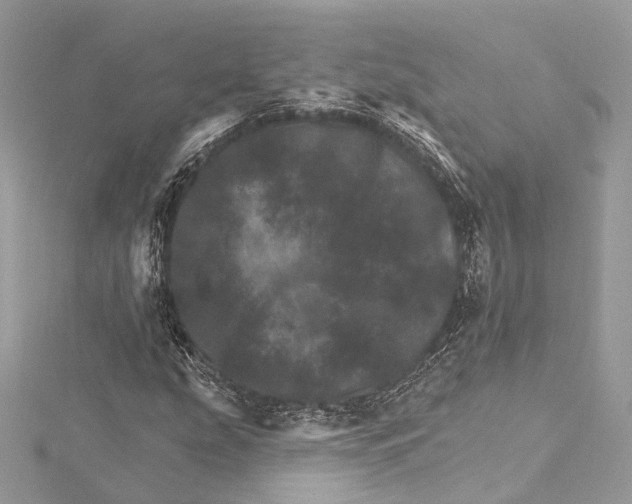 X0000115651207200912011515