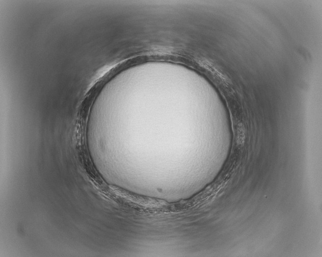 X0000115651208200912011515