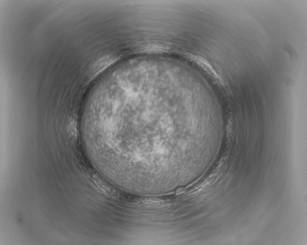 X0000115651209200912011515