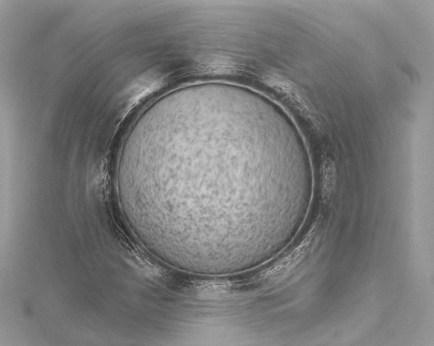 X0000115651210200912011515