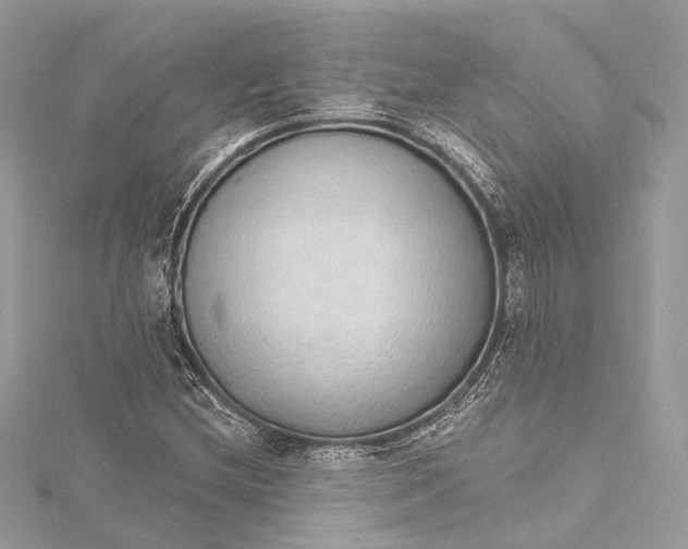 X0000115651212200912011515