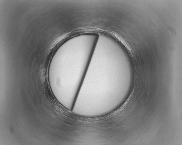 X0000115651213200912011515