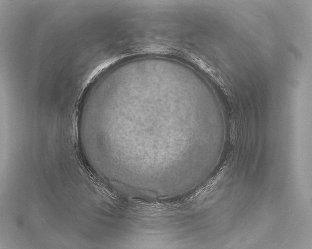 X0000115651214200912011515