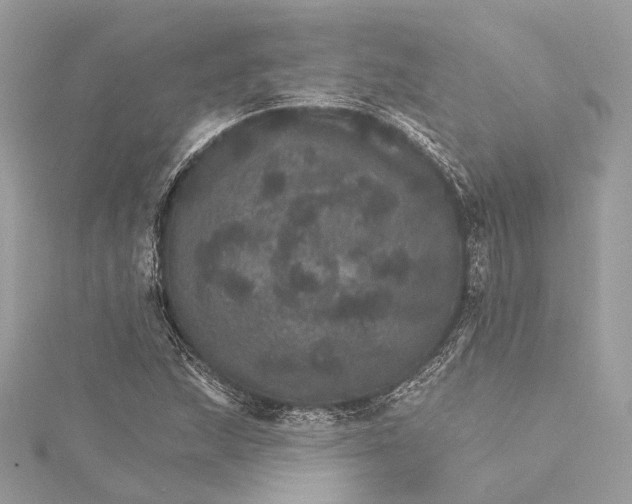 X0000115651215200912011515