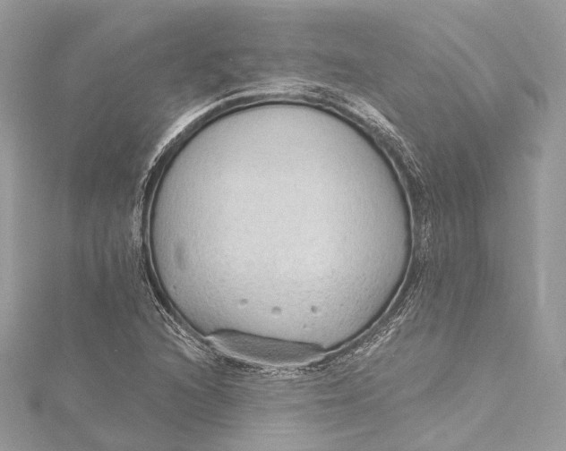 X0000115651216200912011515