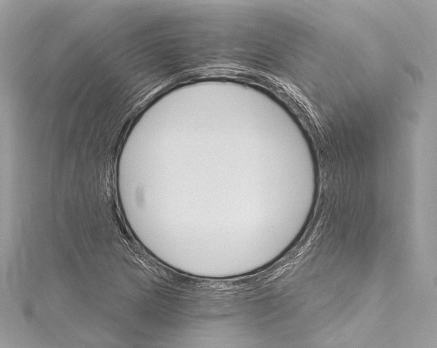 X0000115651217200912011515