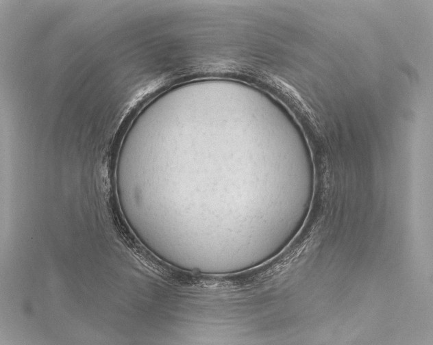 X0000115651218200912011515