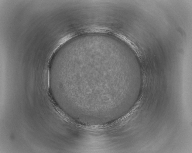 X0000115651219200912011515