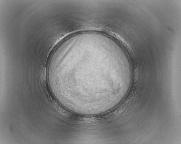 X0000115651220200912011515