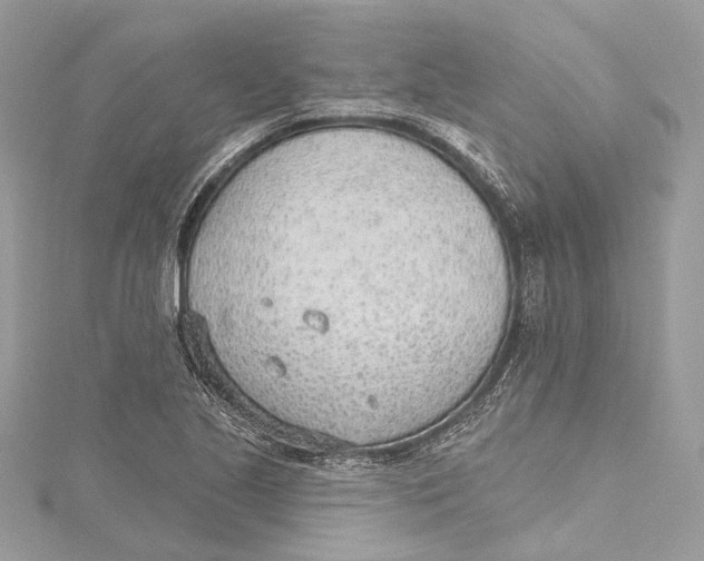 X0000115651221200912011515