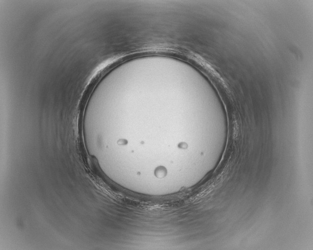 X0000115651222200912011515