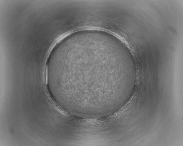 X0000115651223200912011515