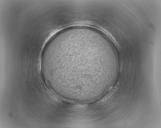 X0000115651224200912011515