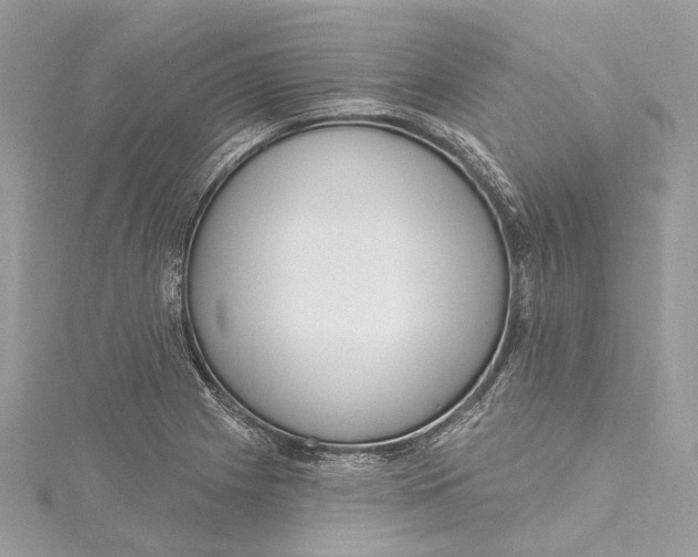 X0000115651225200912011515